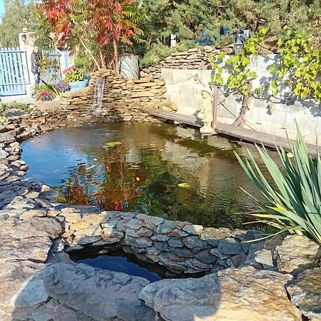 Sunny Valley