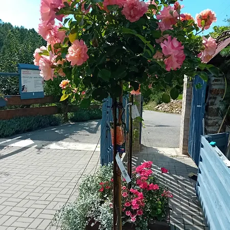 Sunny Valley * Lhota u Lysic