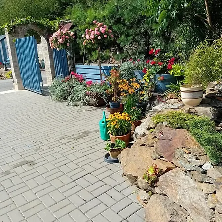 Sunny Valley