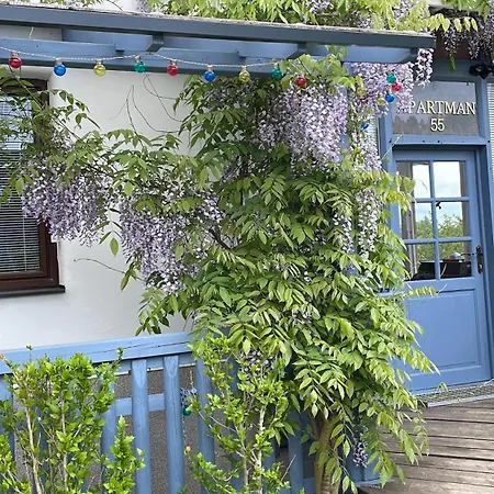 公寓 Sunny Valley *