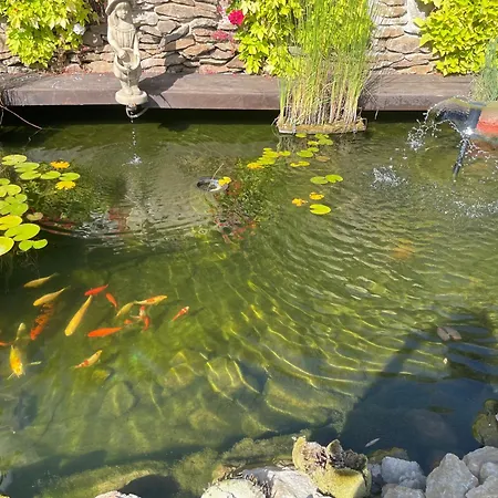 Sunny Valley Lhota u Lysic