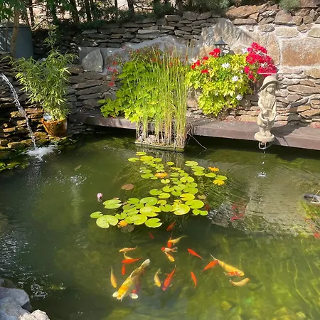 公寓 Sunny Valley Lhota u Lysic