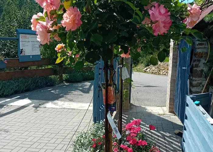 Sunny Valley * Lhota u Lysic