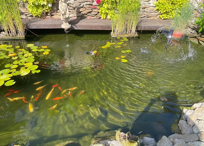 Sunny Valley Lhota u Lysic